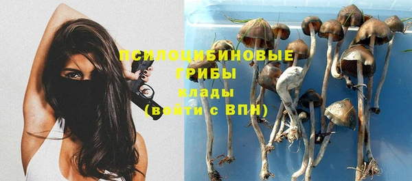 бутират Медногорск