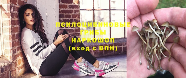 бутират Медногорск