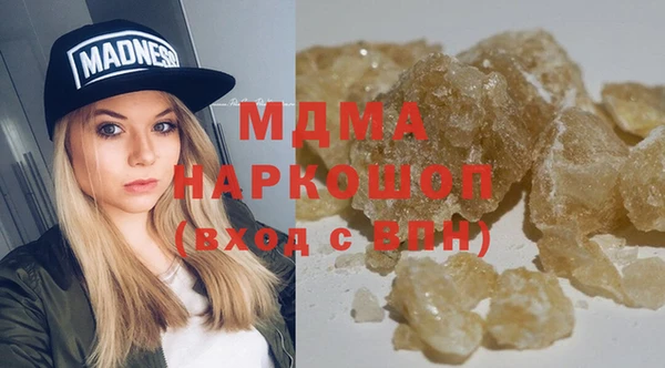 гашик Тайга